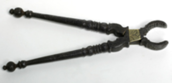 Forceps